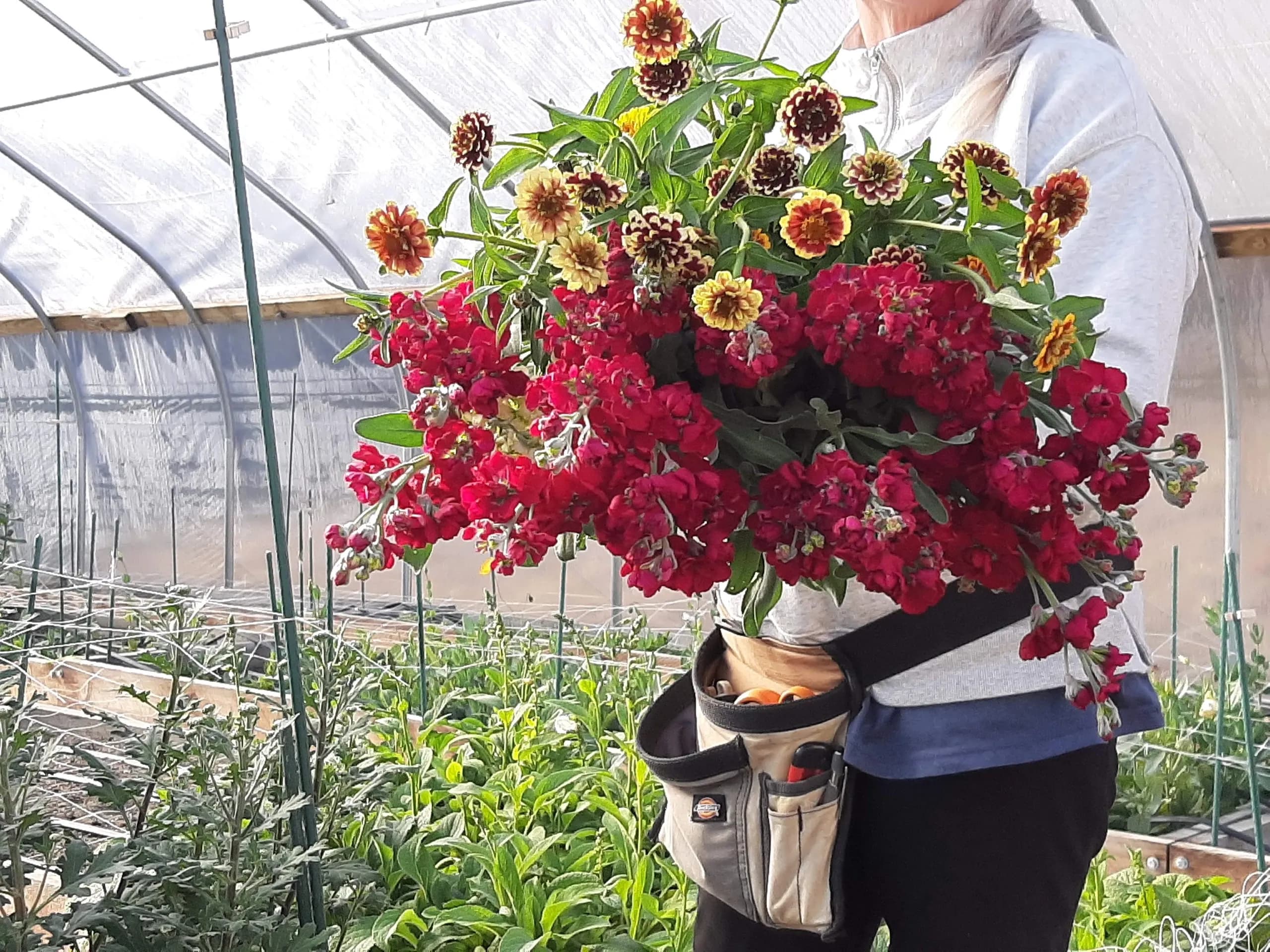 Meadow Ridge Flower Farm