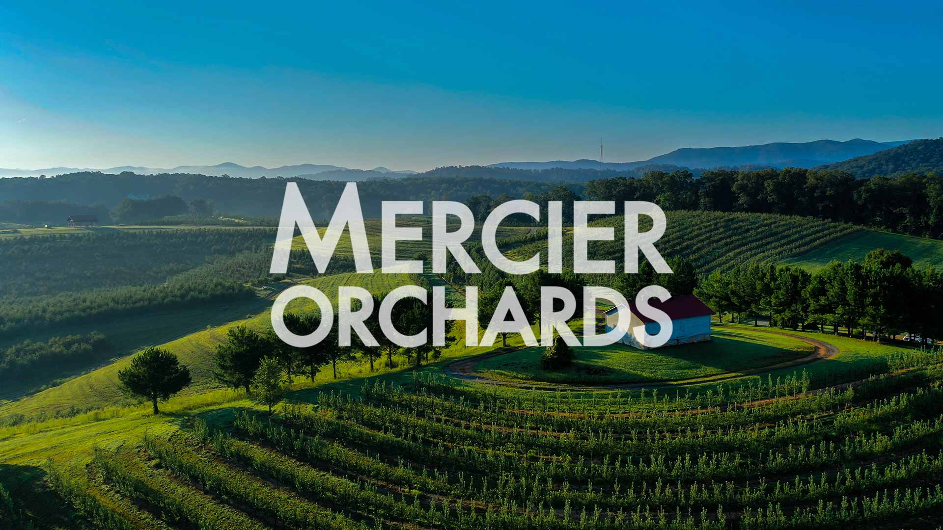 Mercier Orchards