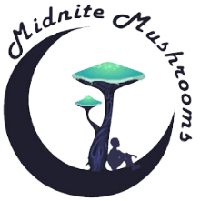 Midnite Mushrooms