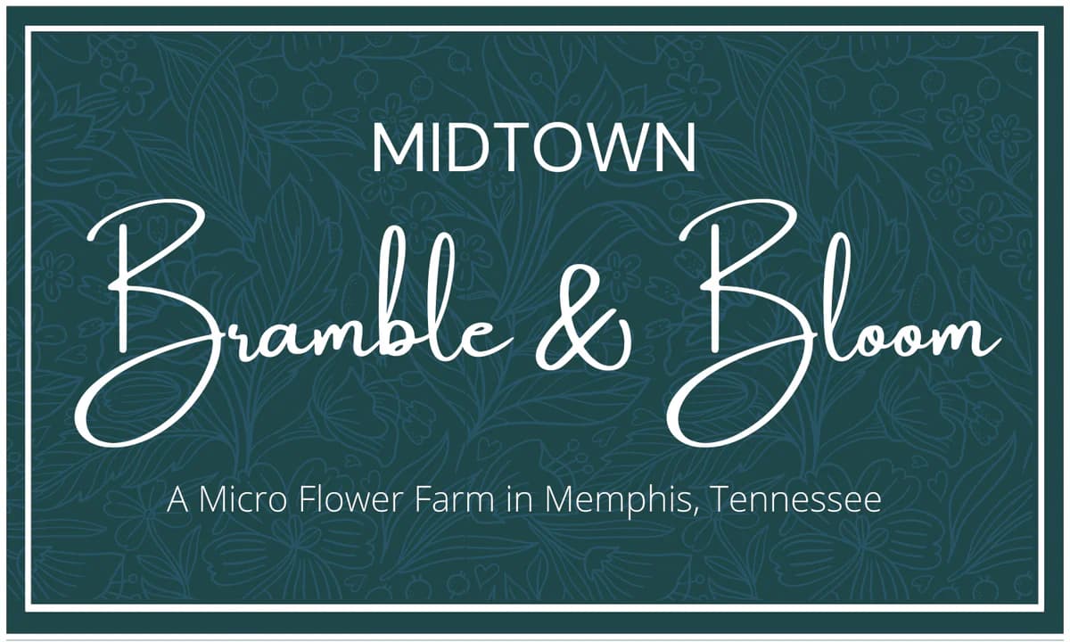 Midtown Bramble and Bloom