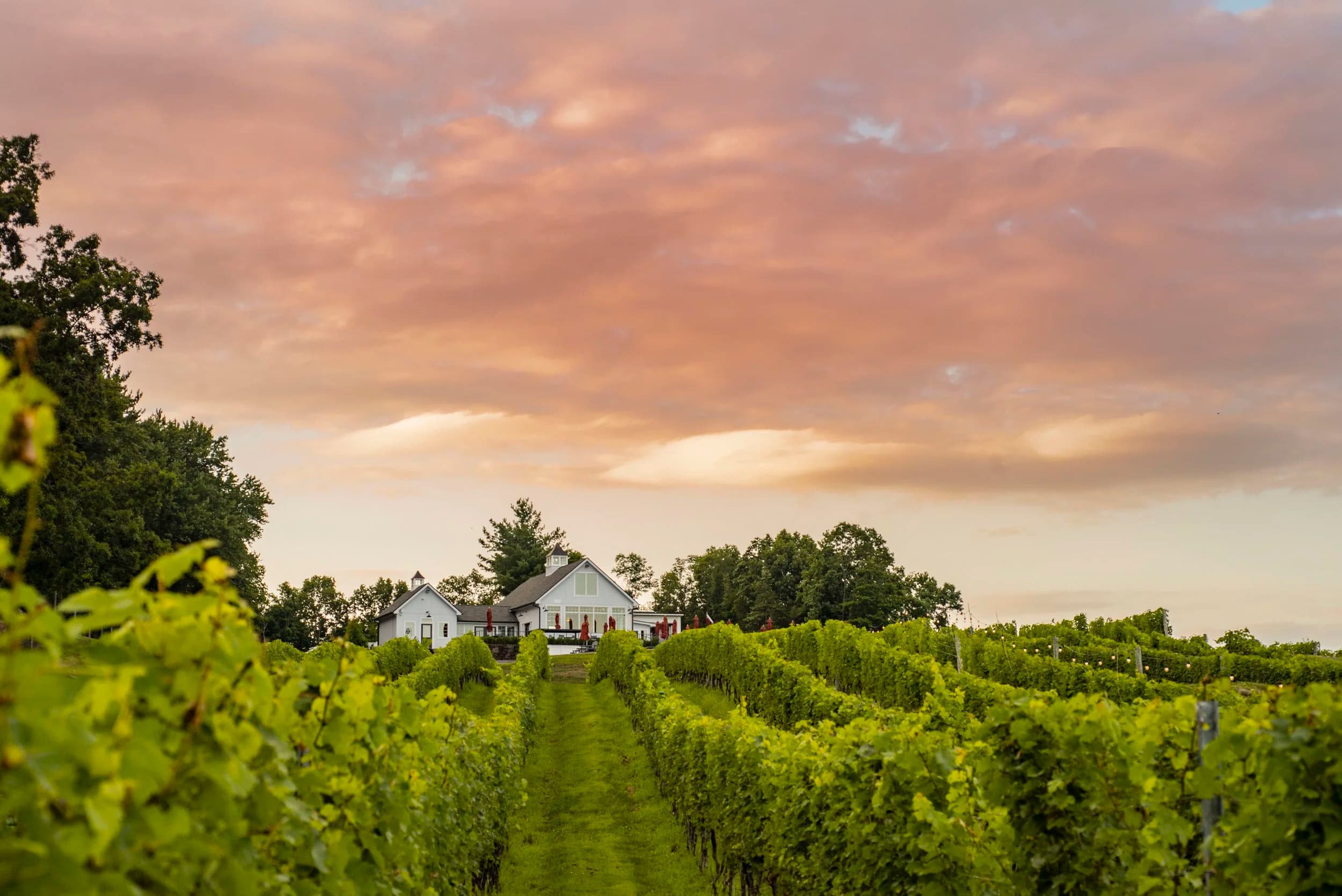 Milea Estate Vineyards
