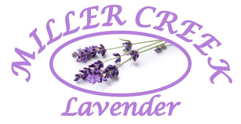 Mill Creek Lavendar Farm