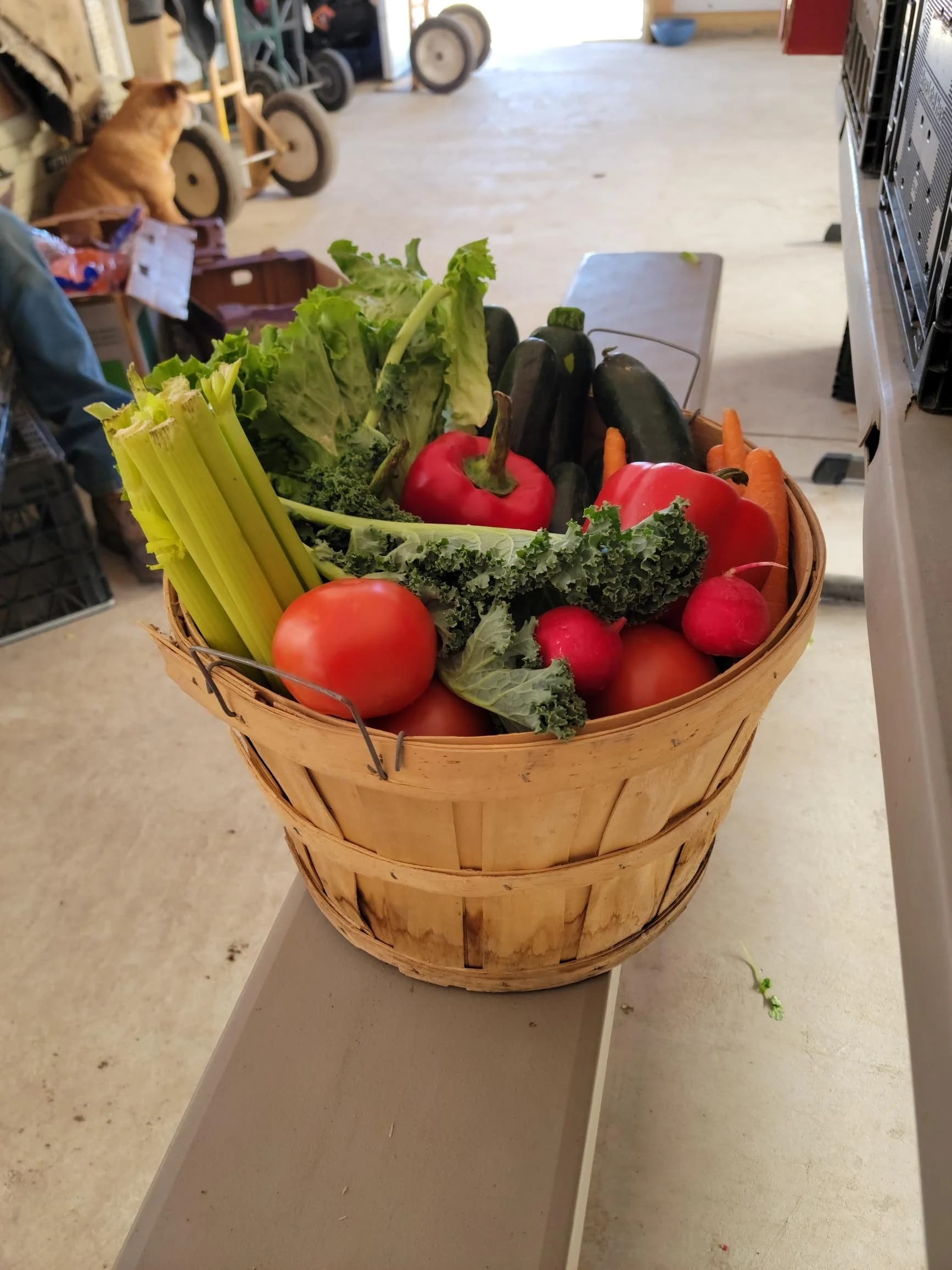 Miller Farms