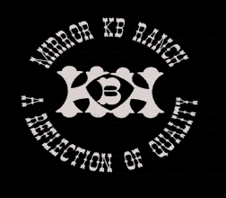 Mirror KB