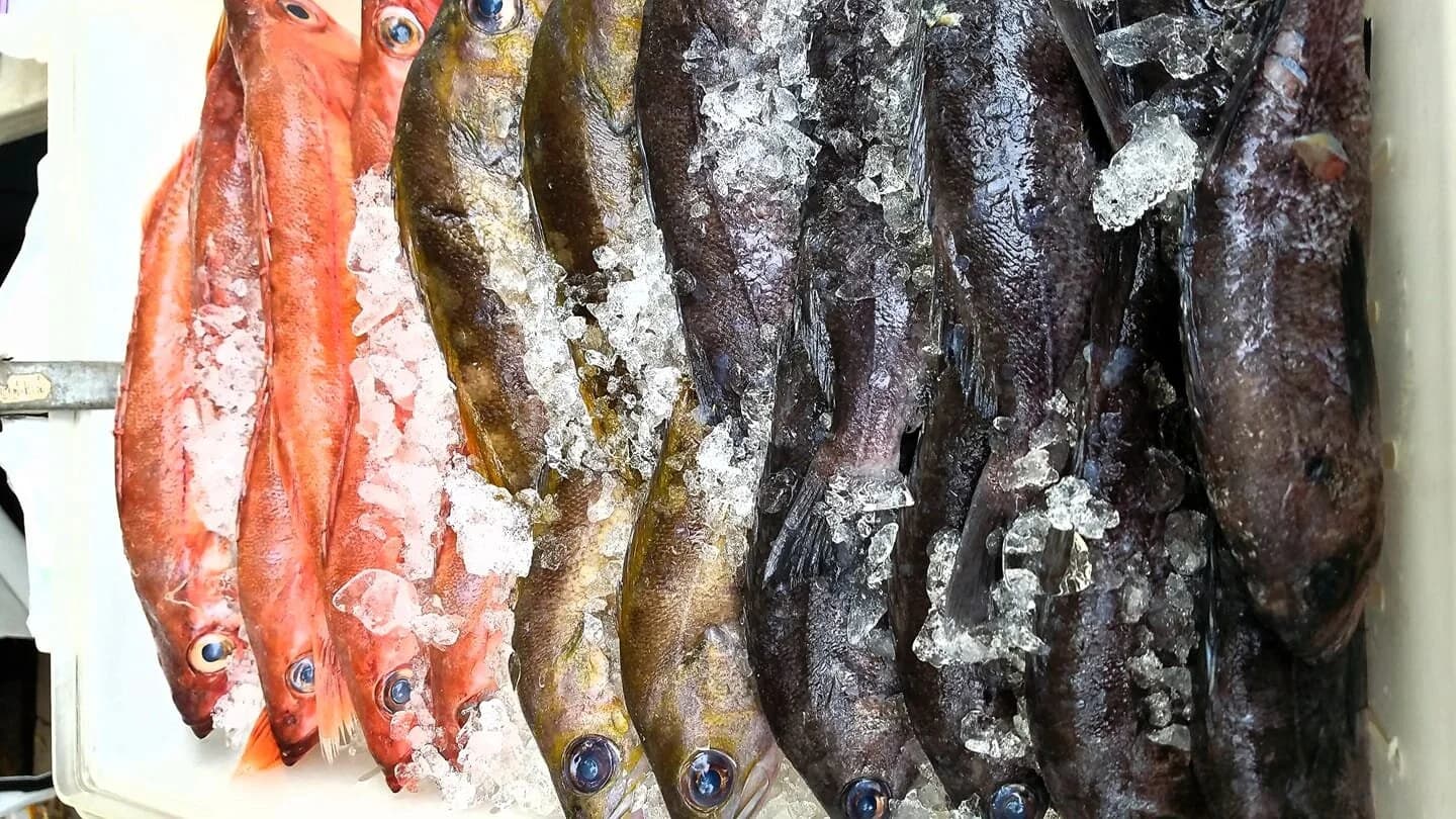 Mission Fresh Fish photo 2