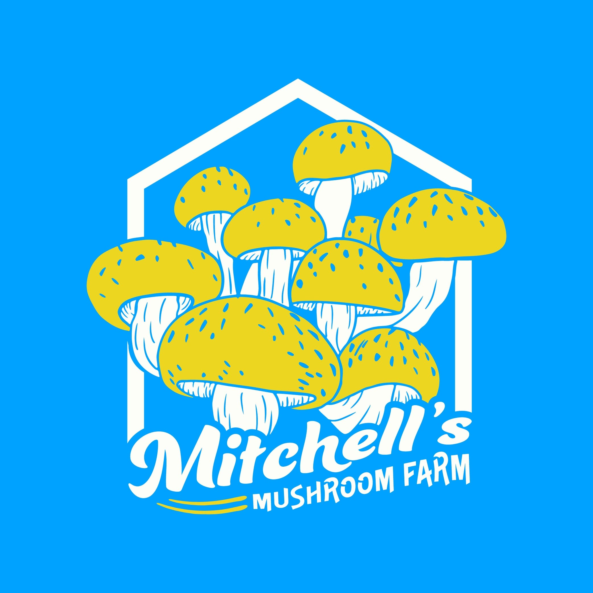 Mitchell's Mushroom Farm photo 2