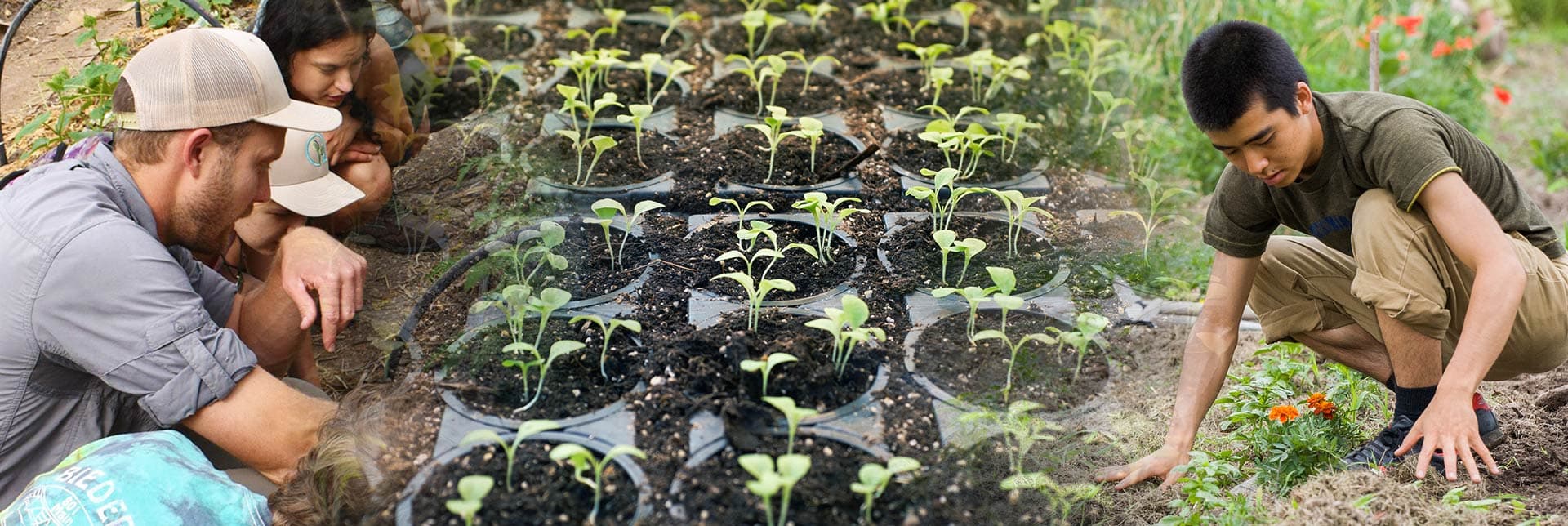 MIU Regenerative Organic Agriculture Program photo 2
