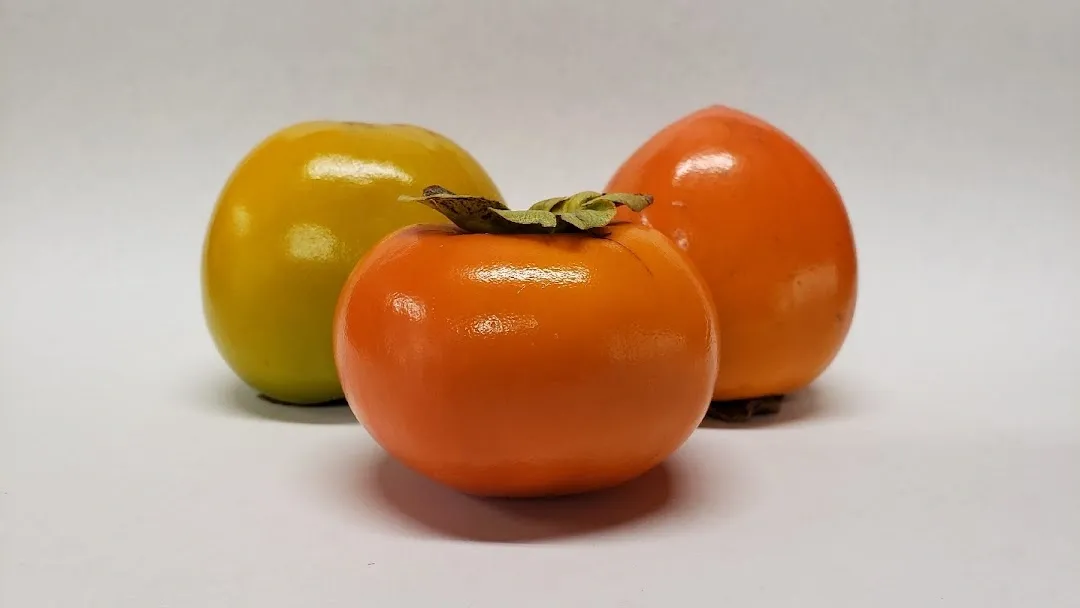 MM Persimmon Farm photo 2
