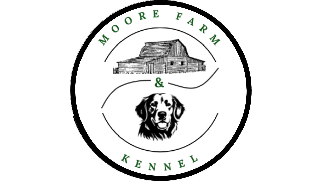 Moore Farm and Kennel photo 2
