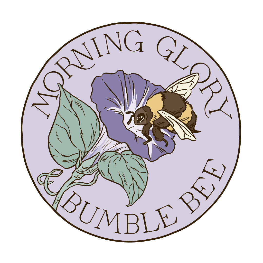 Morning Glory & Bumble Bee