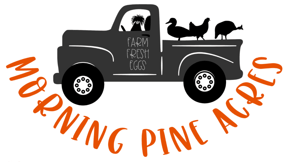 Morning Pine Acres