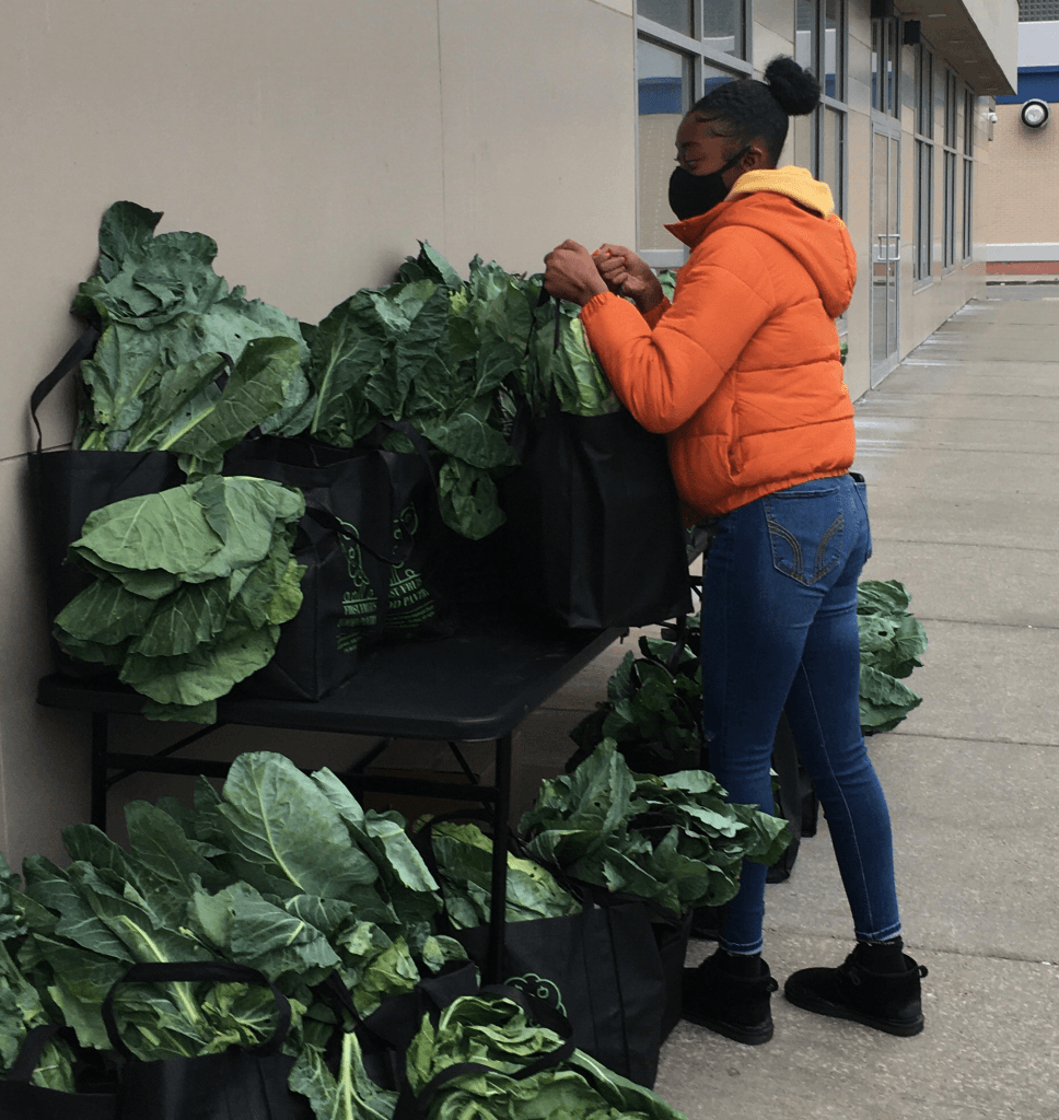 Moss Fresh Fruits & Vegetables