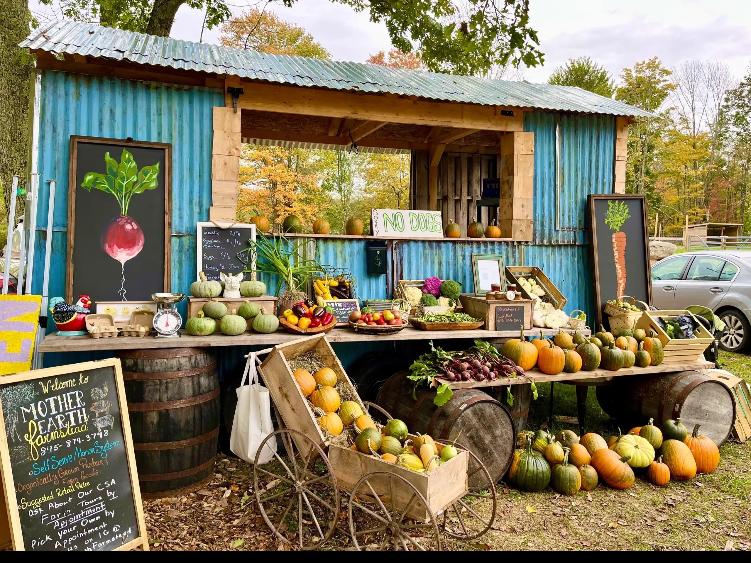 Mother Earth Farmstead