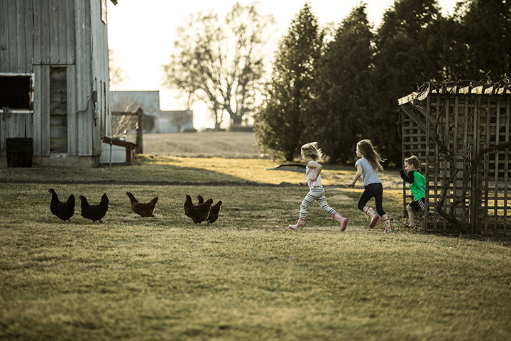 Mud Creek Farm