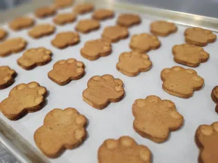 Mugzy's Barkery