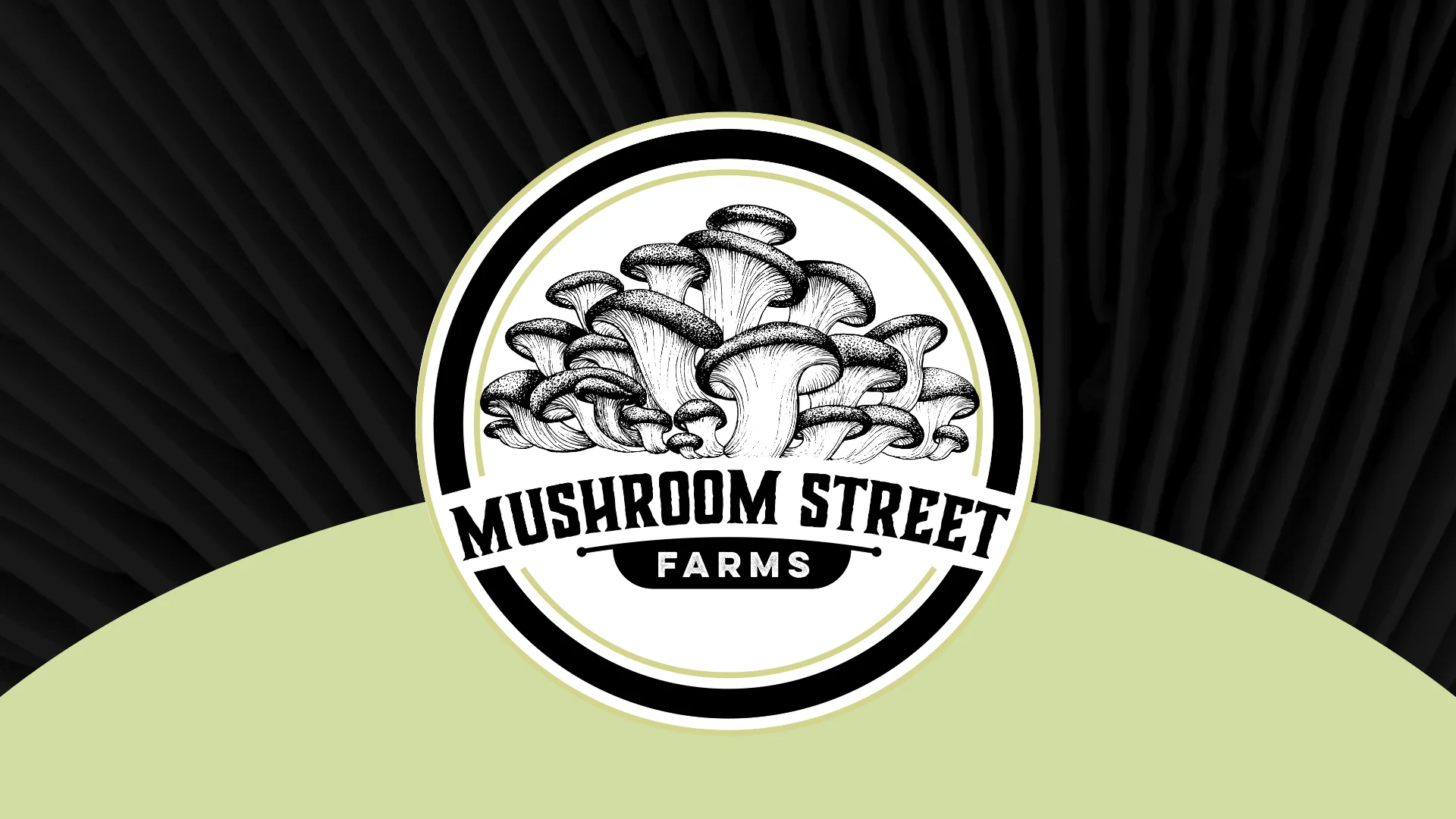 Mushroom Street Farms photo 2