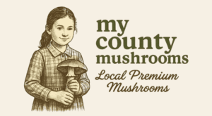 My County Mushrooms photo 2