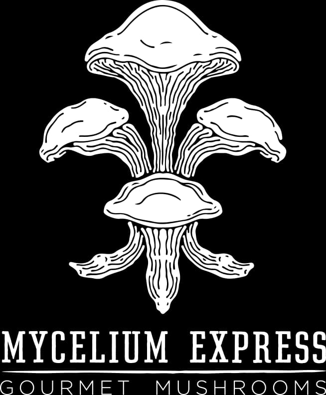 Mycelium Express photo 2