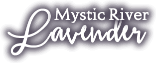 Mystic River Lavender