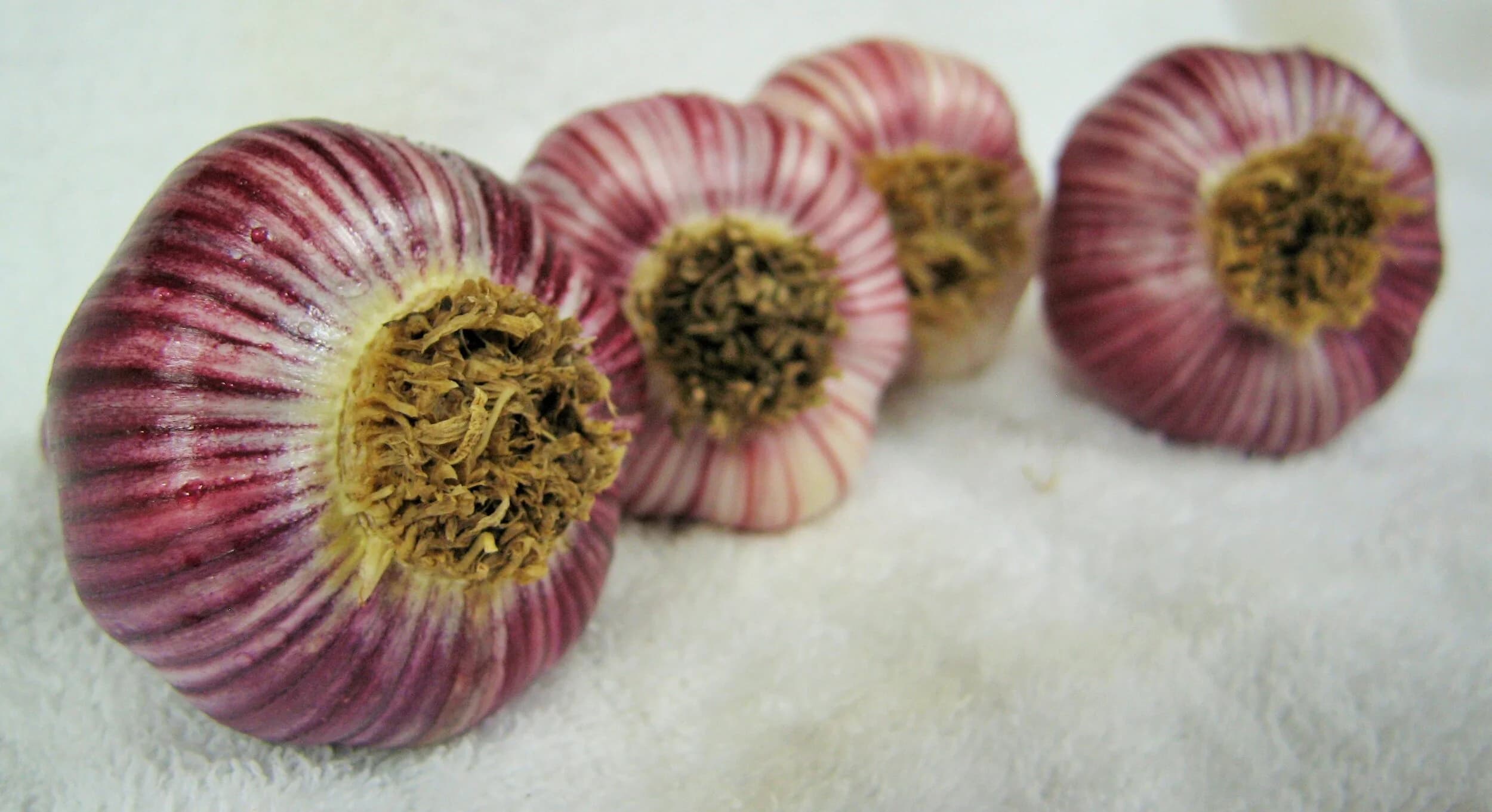 Natural Nick's Produce photo 2