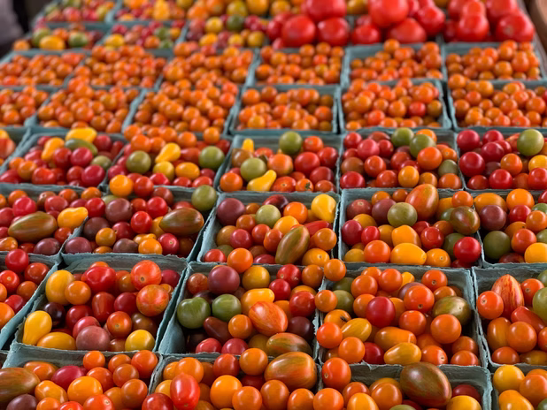 New Town Farms