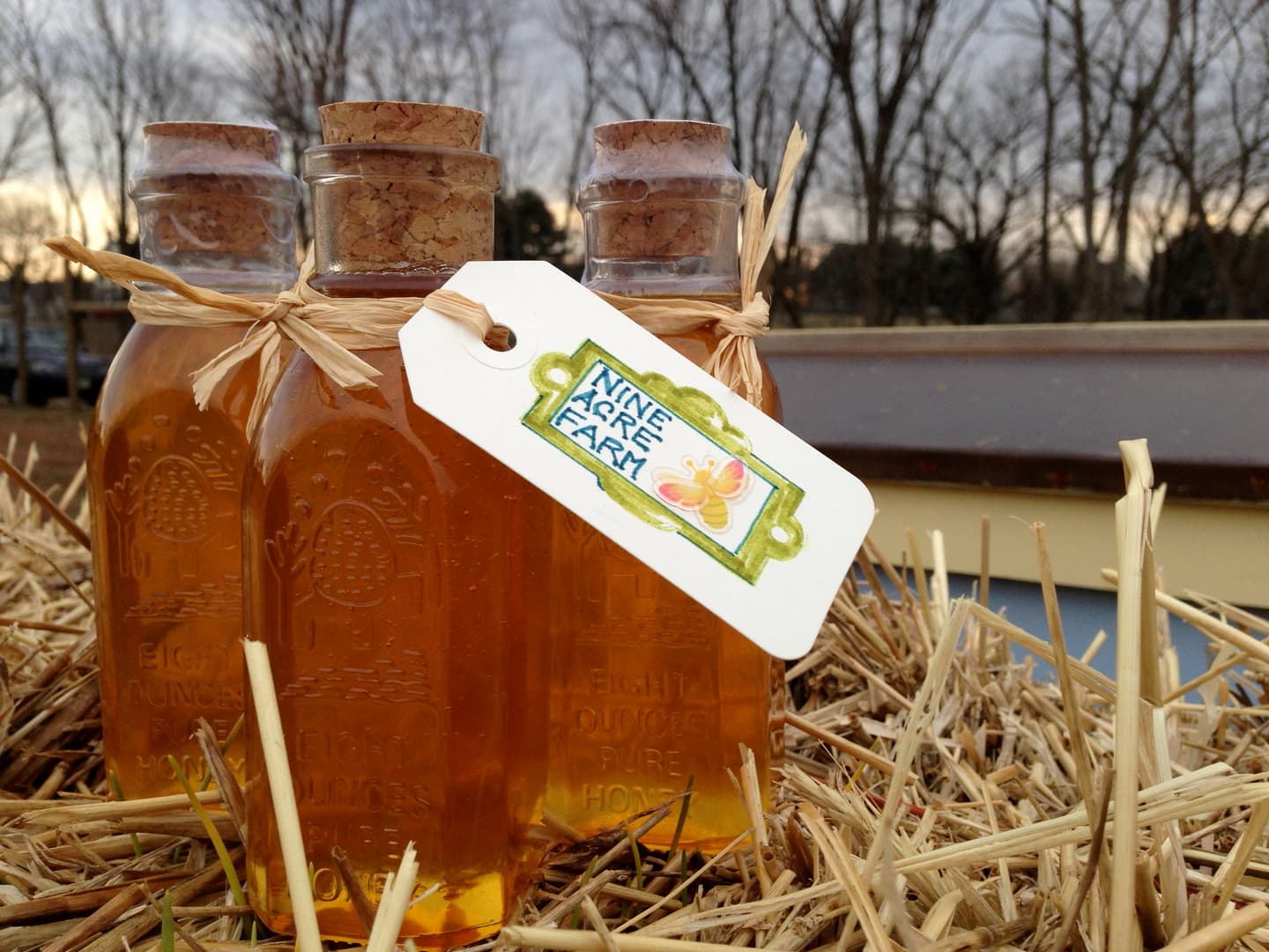 Nine Acre Farm