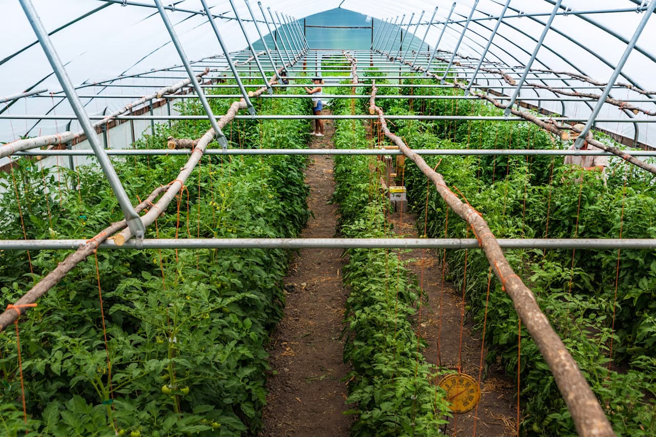 Nistler Farms
