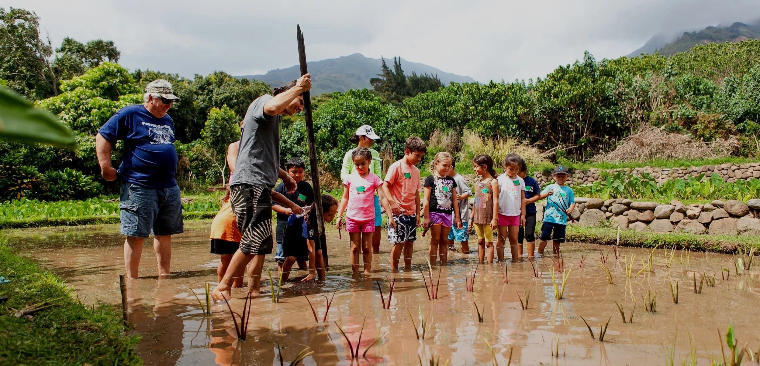 Noho'ana Farms photo 2