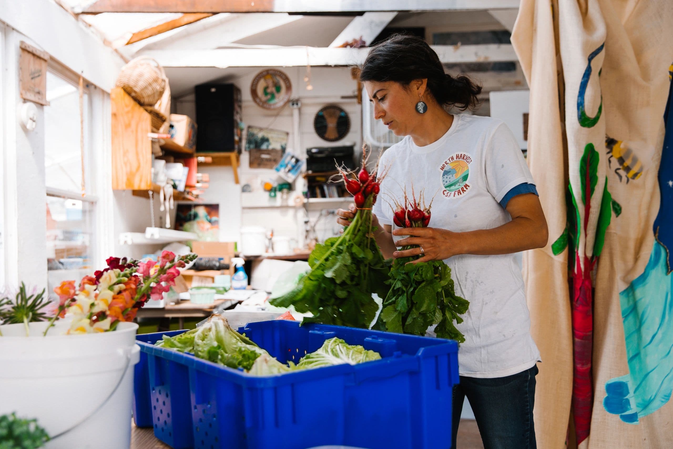 North Harvest CSA Farm photo 2