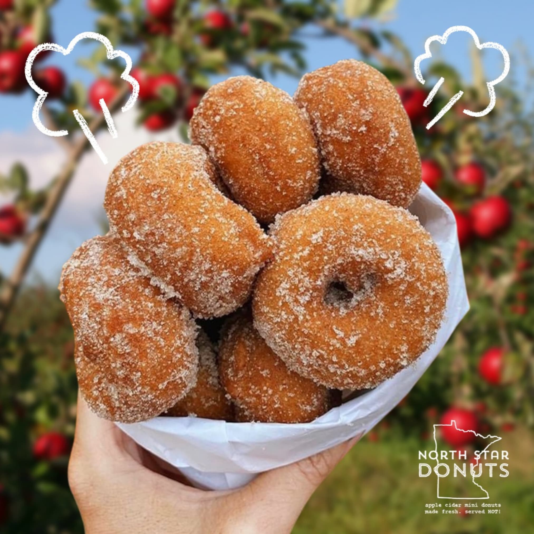 North Star Donuts photo 2