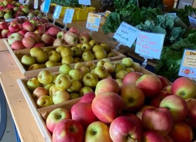North Star Orchard photo 2