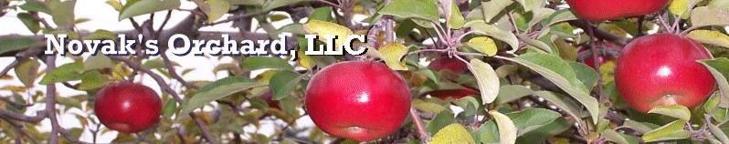 Novak’s Orchard, LLC