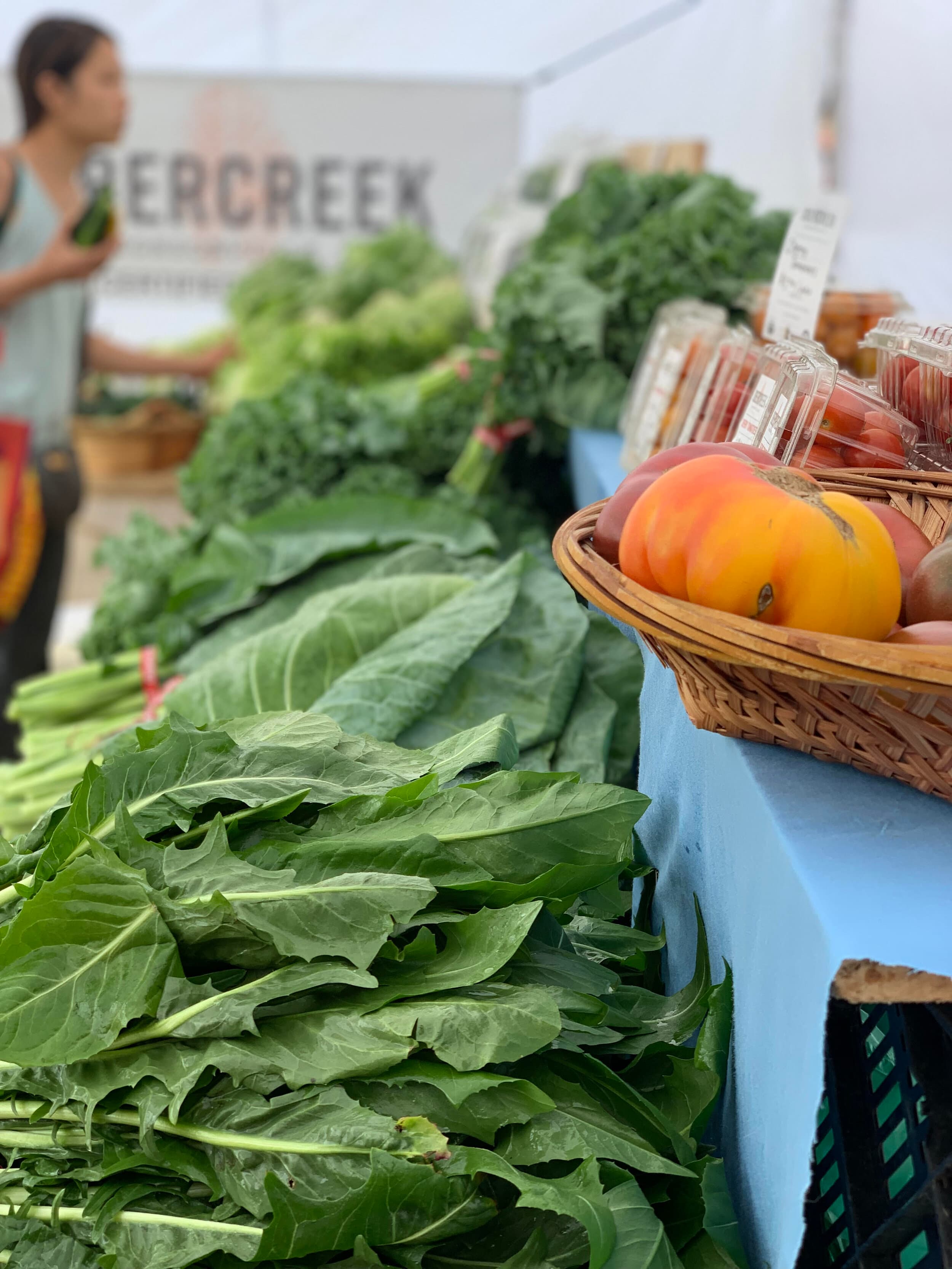 Obercreek Farm photo 2