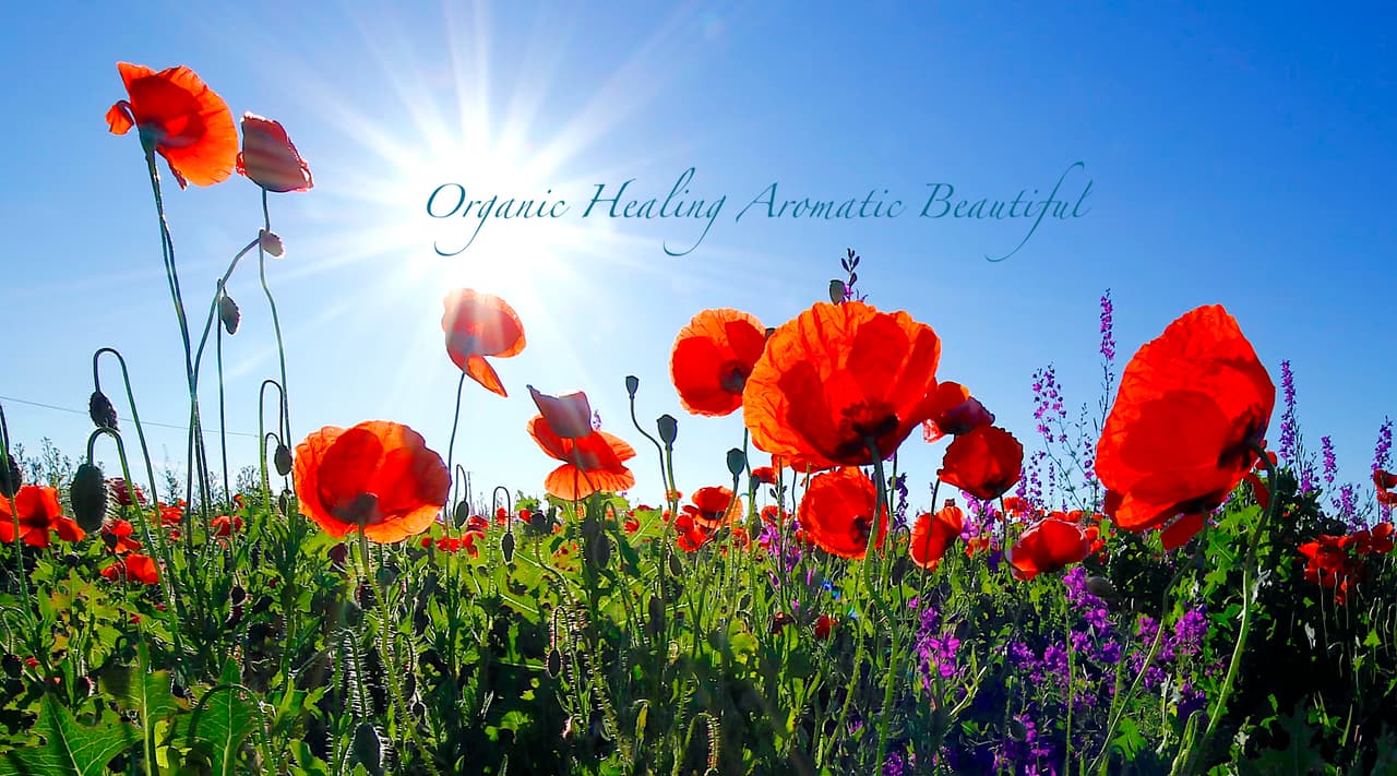 Obvita Organics