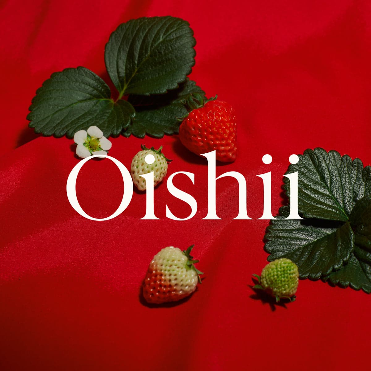 Oishii photo 2