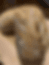 OMGBakes
