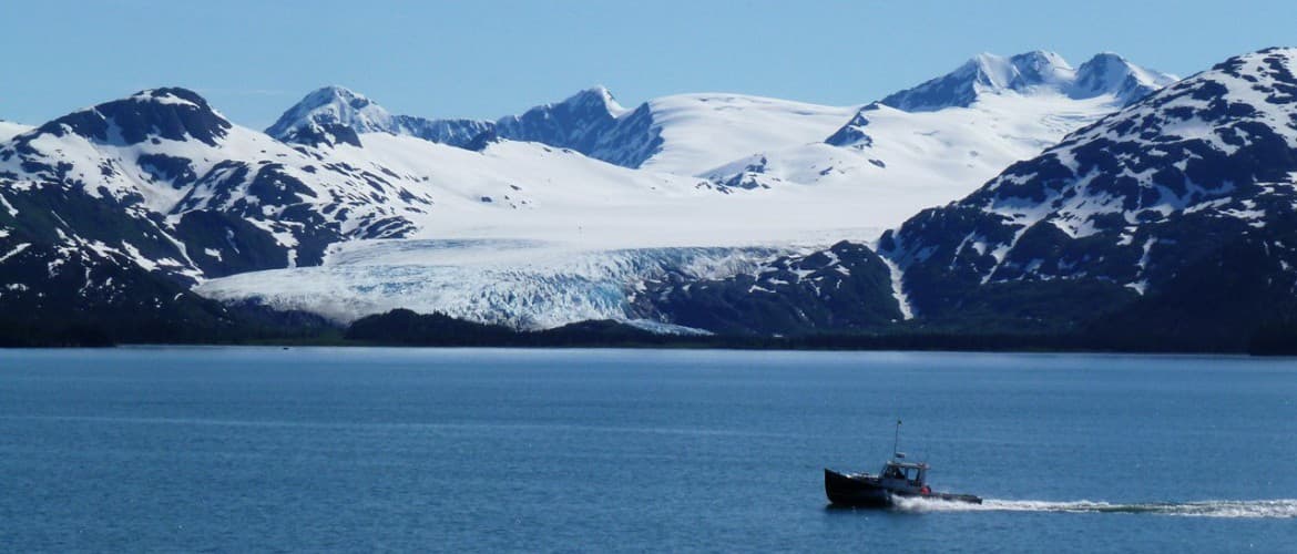Otolith Sustainable Seafood