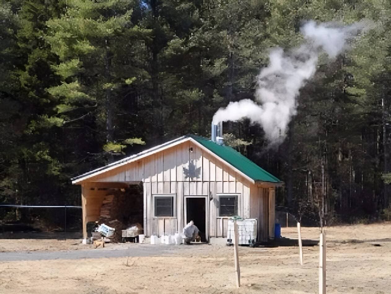 Our Woods Maple Syrup