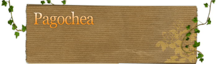 Pagochea Enterprises