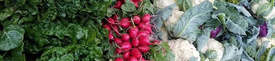 Pahl’s Farm