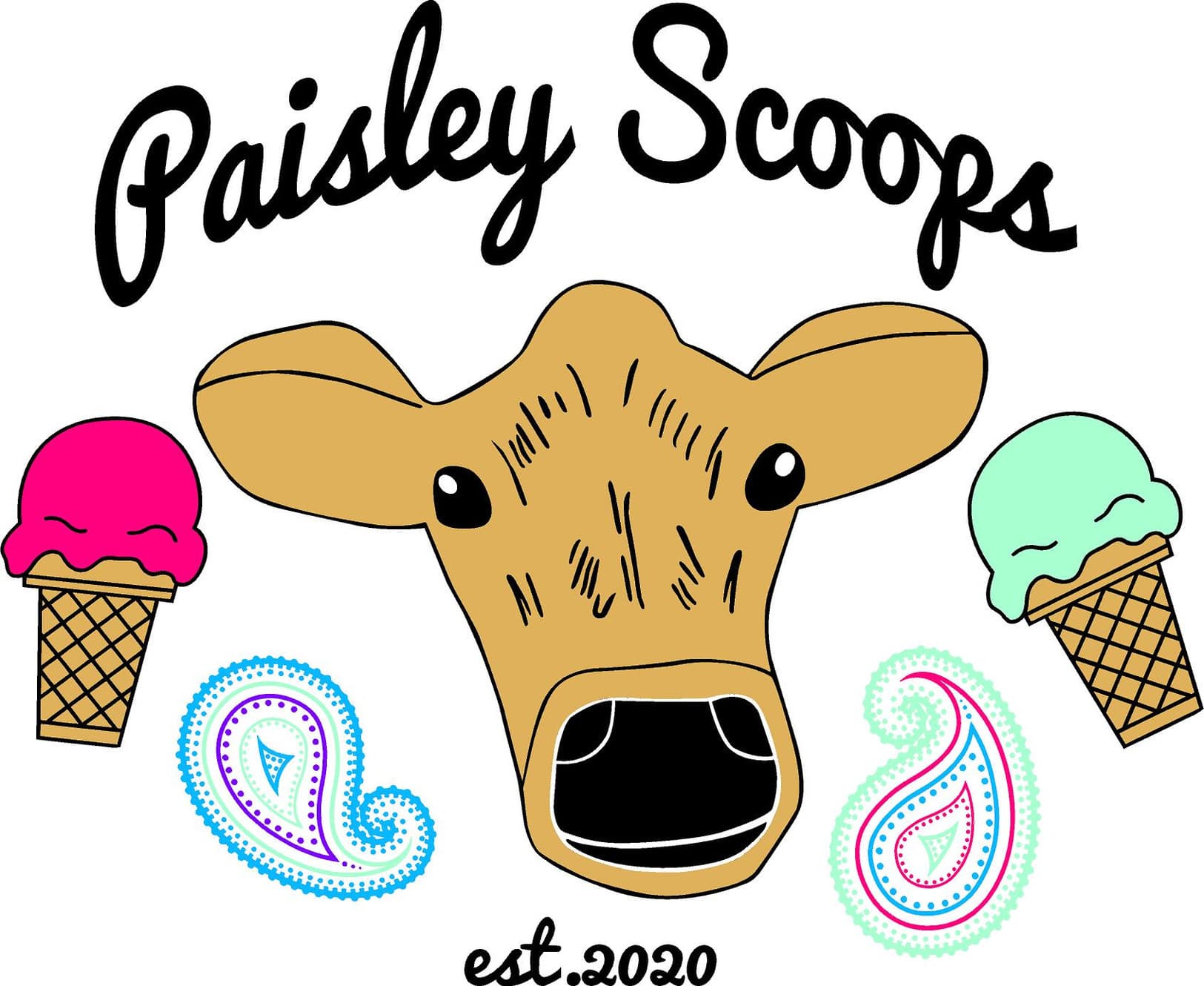 Paisley Scoops photo 2