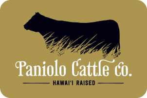 Paniolo Cattle
