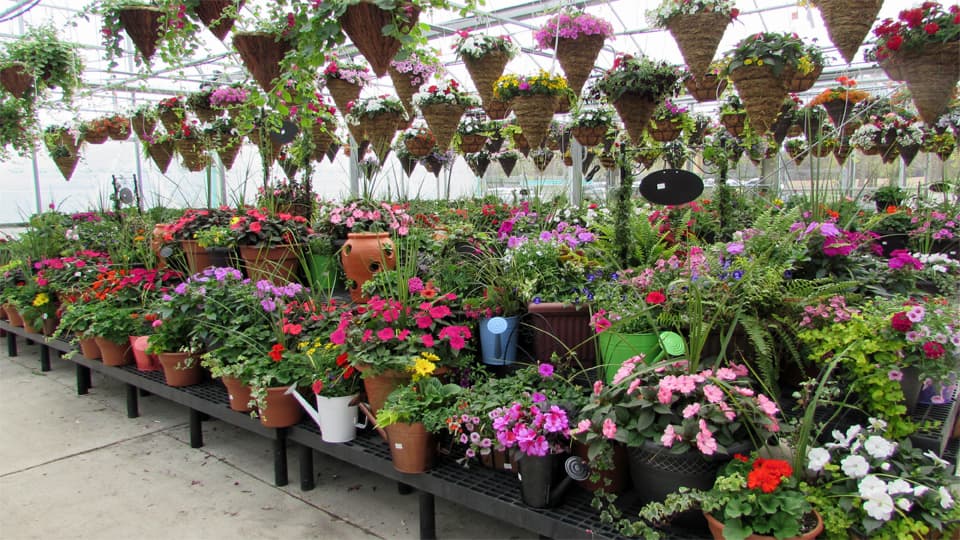 Parran Farms