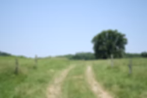 Pasture's Pride Natural Meats
