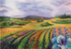 PEACEMEAL FARM photo 2