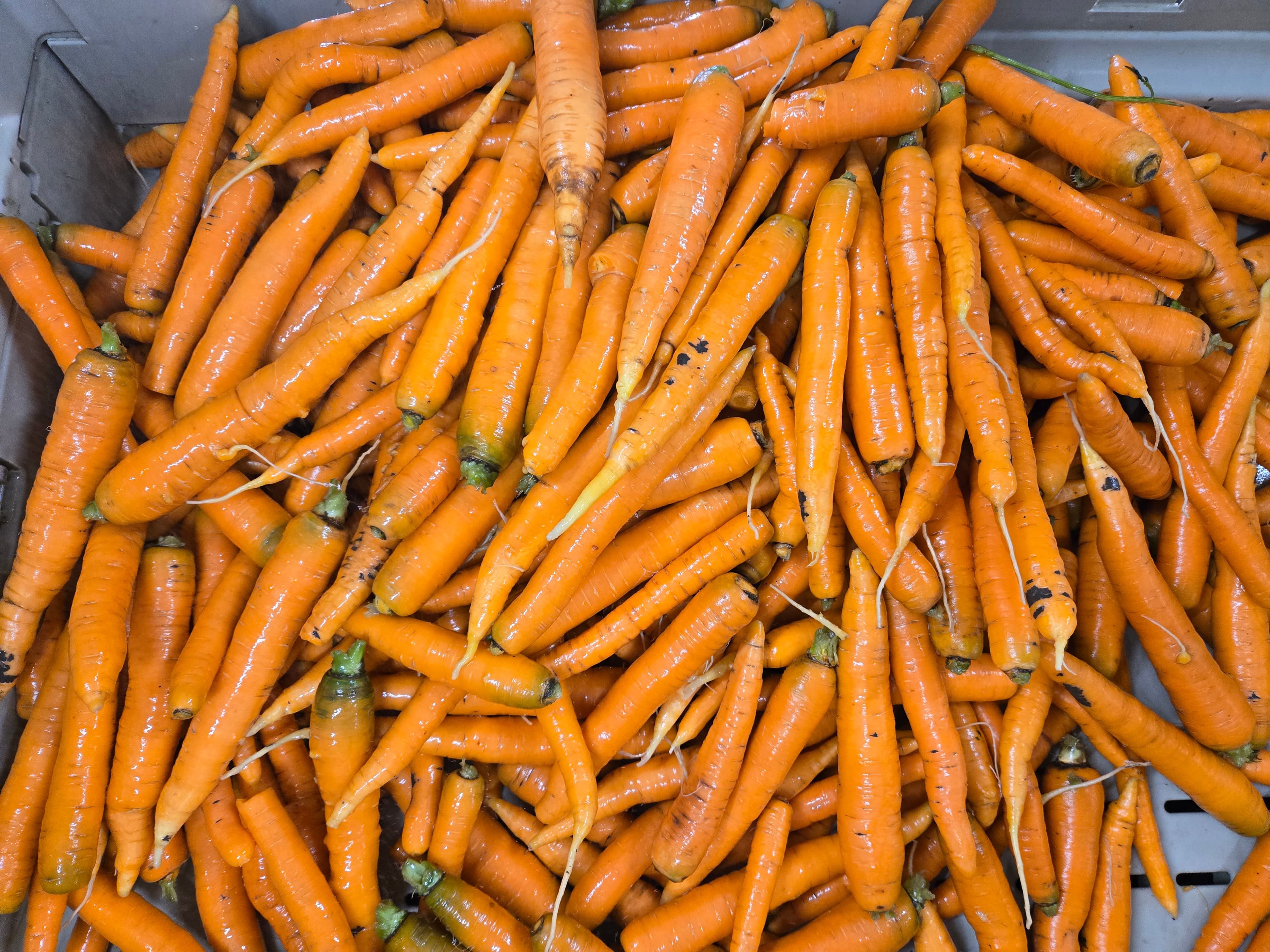 Pekarek's Produce photo 2