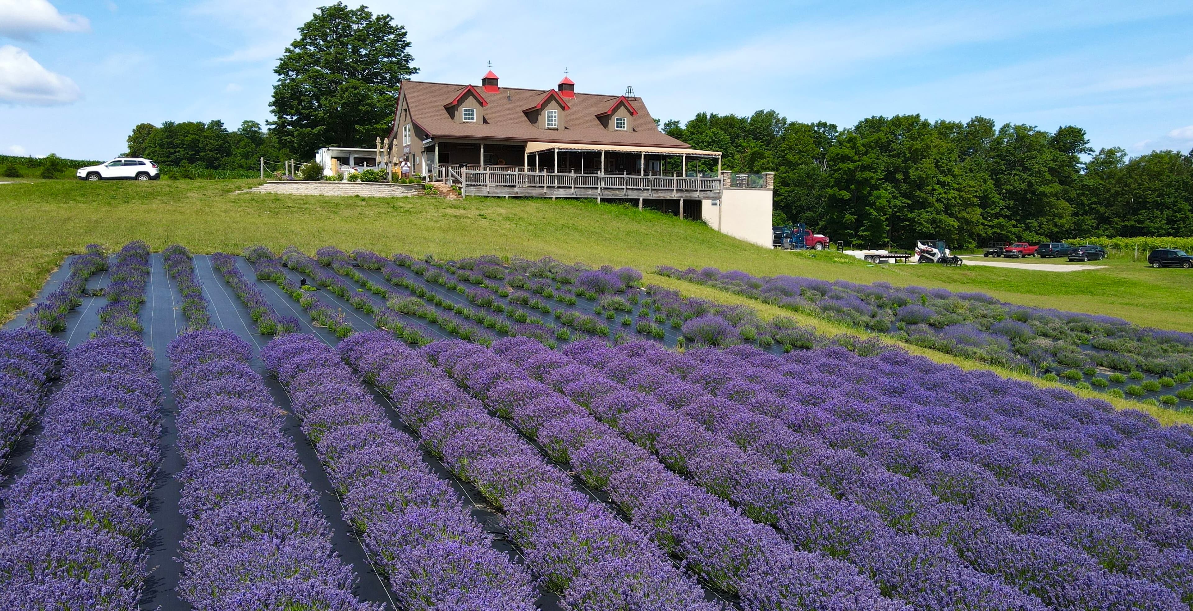 Petoskey Farms