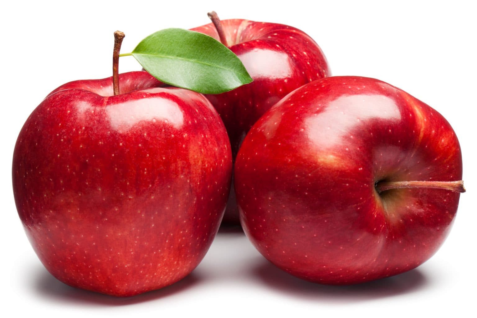 Picnic Hill Orchard