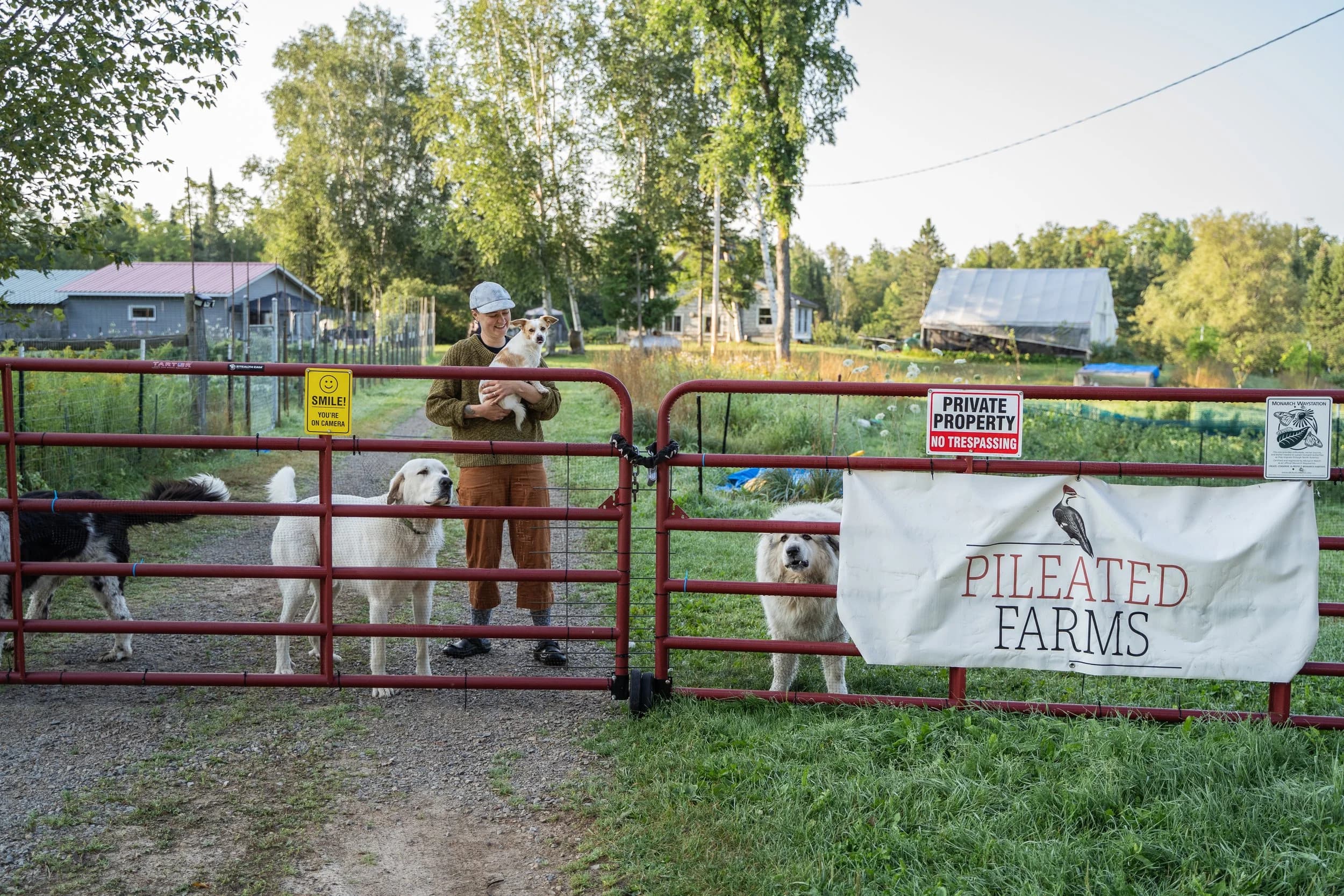 Pileated Farms
