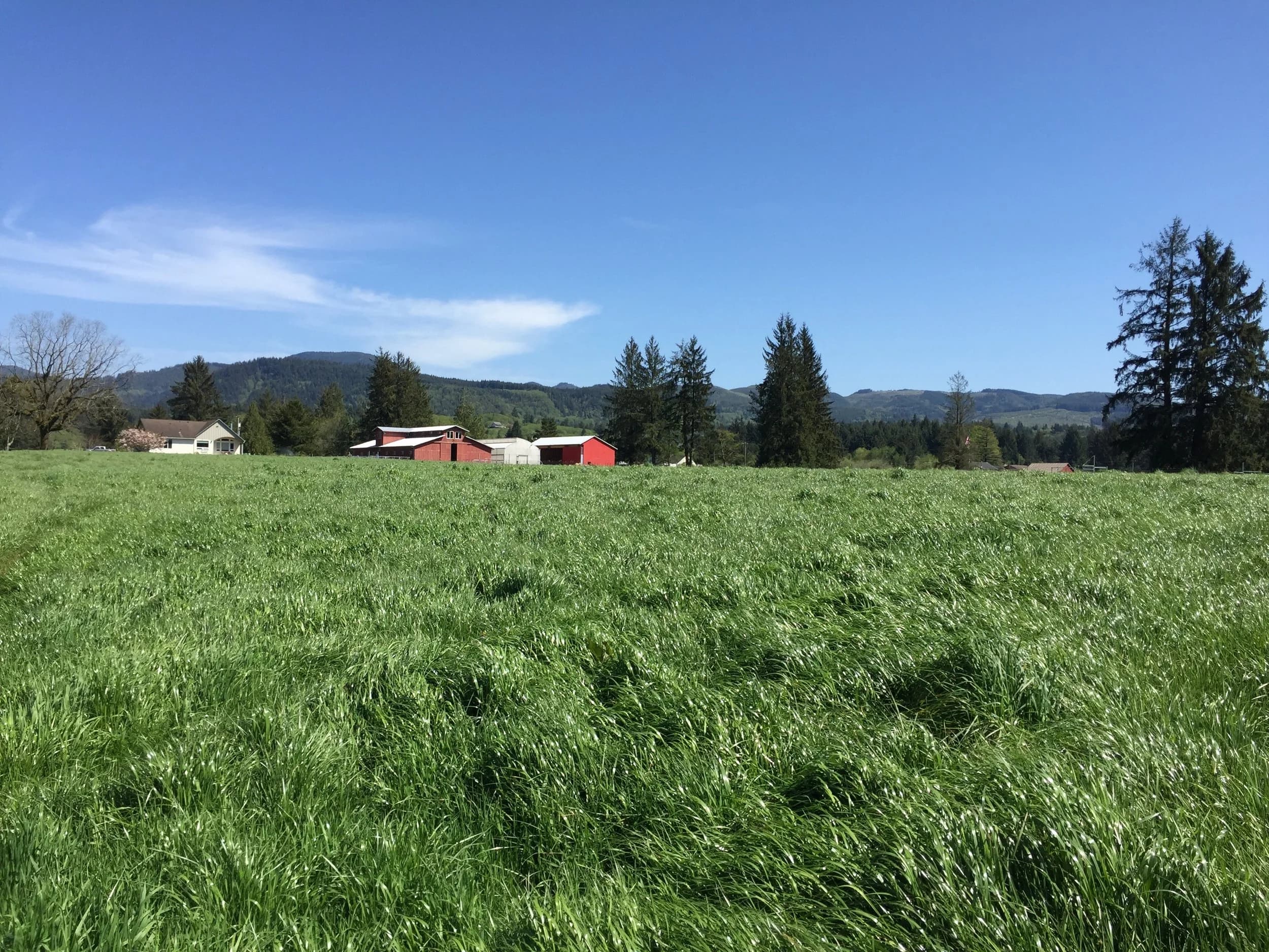 Pitch & Plow Farms photo 2